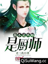 我不是巫师是厨师
