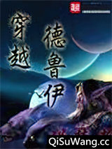 穿越德鲁伊